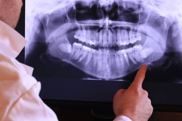 Best Emergency X-Rays and Diagnostics in Granby, MO